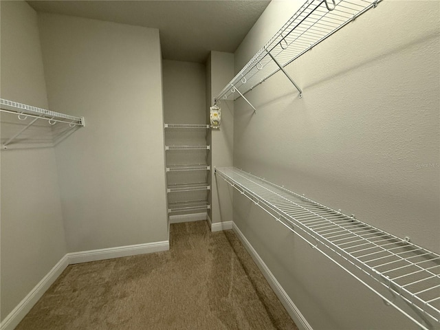 813 Burlington Ave N, Saint Petersburg, FL 33701 - photo 32