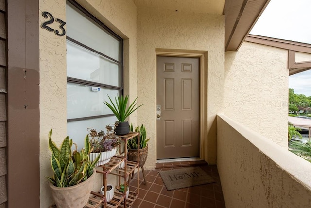 3540 Countrybrook Ln Unit 23, Palm Harbor, FL 34684 - photo 4