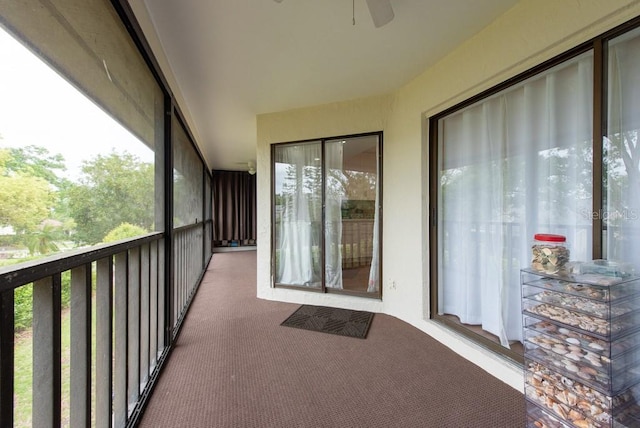 3540 Countrybrook Ln Unit 23, Palm Harbor, FL 34684 - photo 29