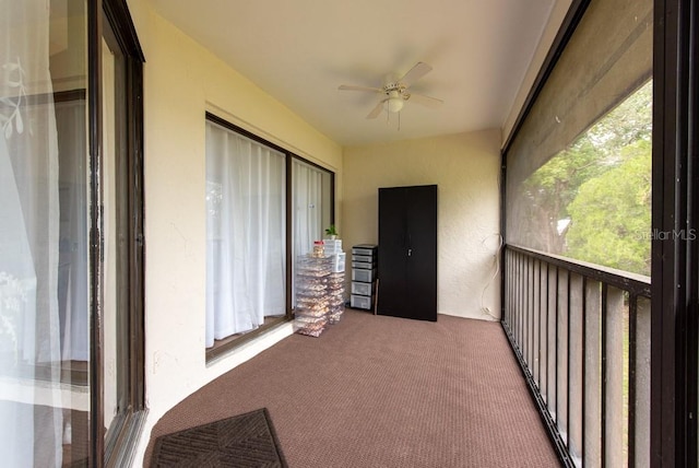 3540 Countrybrook Ln Unit 23, Palm Harbor, FL 34684 - photo 30