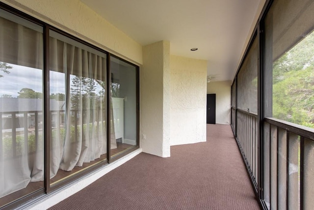 3540 Countrybrook Ln Unit 23, Palm Harbor, FL 34684 - photo 32