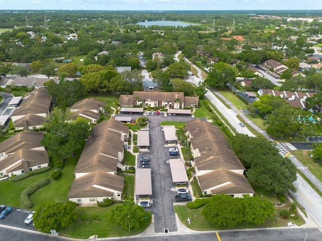 3540 Countrybrook Ln Unit 23, Palm Harbor, FL 34684 - photo 41