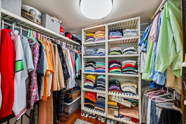 walk in closet featuring wood finished floors