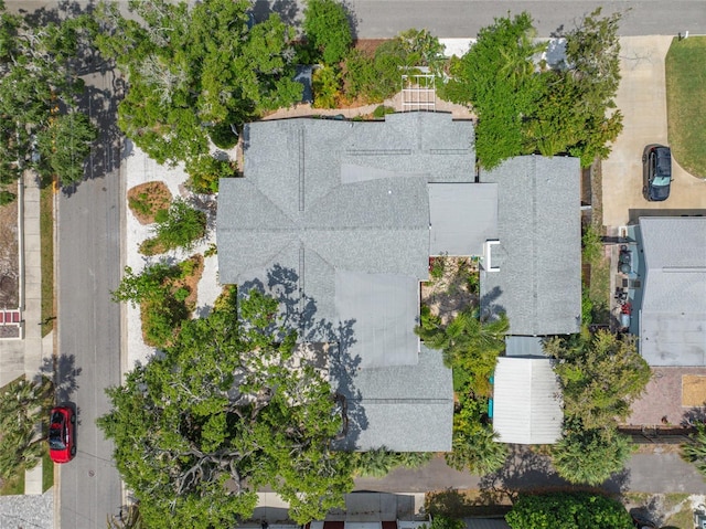 400 5th Ave S, Safety Harbor, FL 34695 - photo 4