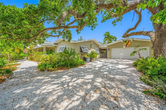 400 5th Ave S, Safety Harbor, FL 34695 - photo 5