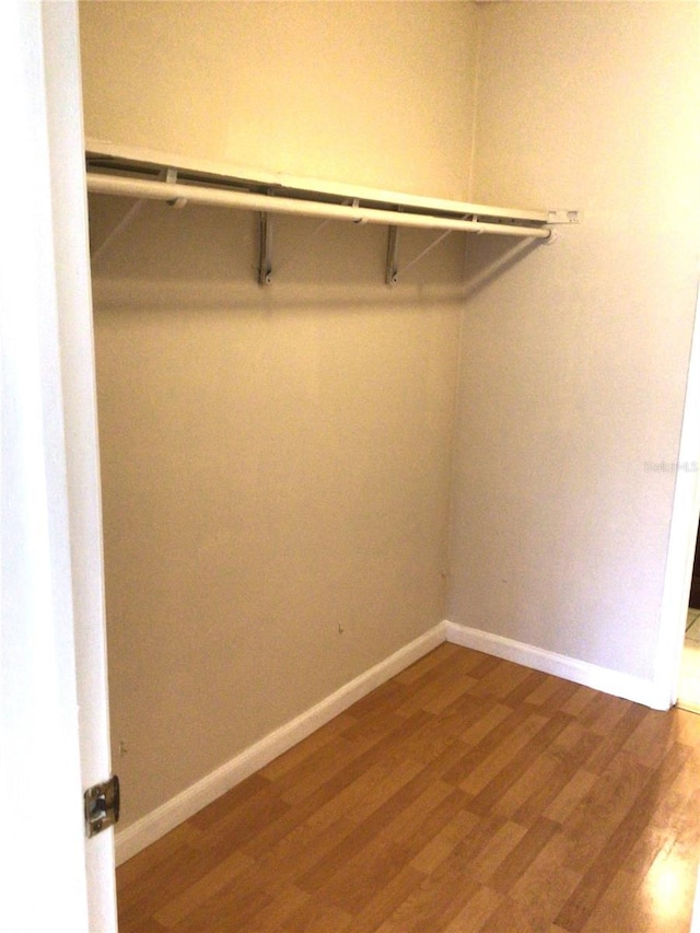 2625 State Road 590 Unit 1822, Clearwater, FL 33759 - walk in closet with wood finished floors