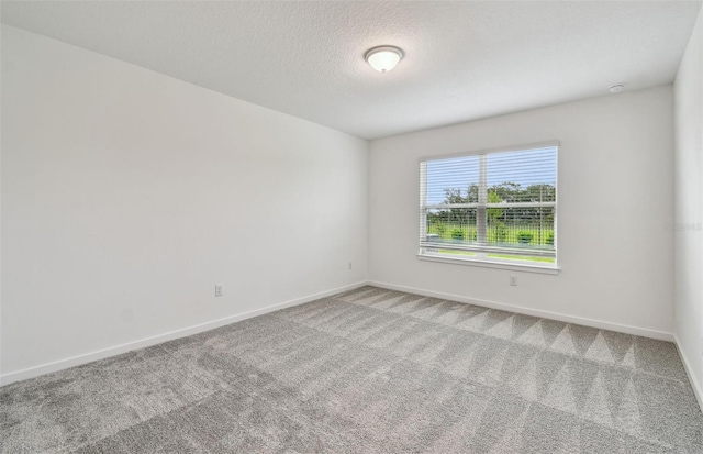 10418 Cross River Trl, Parrish, FL 34219 - photo 8