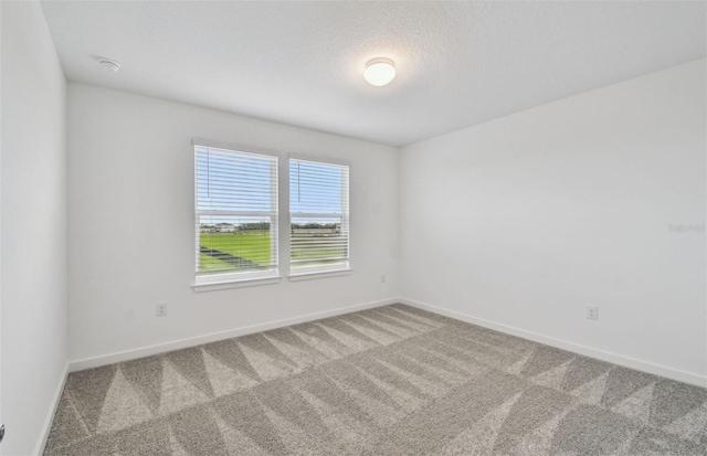 10418 Cross River Trl, Parrish, FL 34219 - photo 13