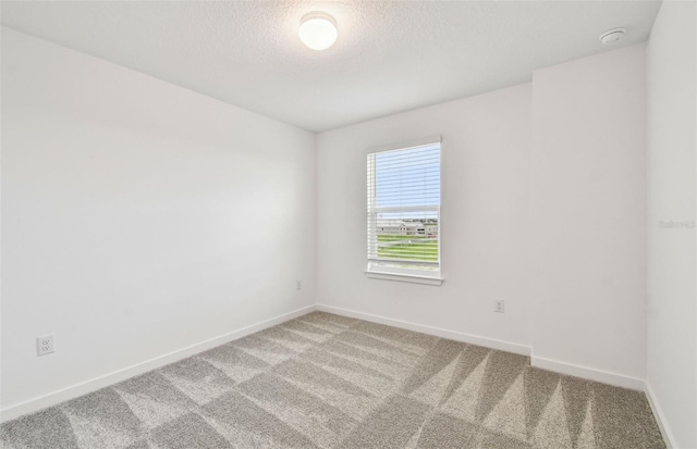 10418 Cross River Trl, Parrish, FL 34219 - photo 16