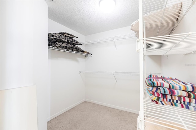 walk in closet with carpet floors