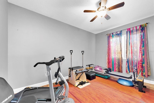 5807 Thoreau Pl, Lithia, FL 33547 - exercise area with a ceiling fan, wood finished floors, and baseboards