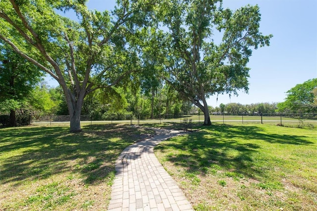 5807 Thoreau Pl, Lithia, FL 33547 - view of yard with view of wooded area