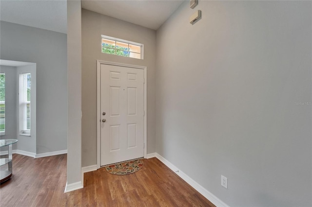 11626 Pure Pebble Dr, Riverview, FL 33569 - entrance foyer featuring healthy amount of natural light, wood finished floors, and baseboards