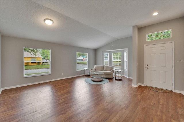 11626 Pure Pebble Dr, Riverview, FL 33569 - foyer entrance featuring wood finished floors, vaulted ceiling, baseboards, and recessed lighting