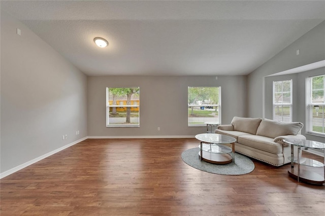 11626 Pure Pebble Dr, Riverview, FL 33569 - living area with vaulted ceiling, plenty of natural light, and wood finished floors