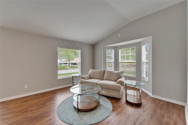 11626 Pure Pebble Dr, Riverview, FL 33569 - living area with wood finished floors, lofted ceiling, and baseboards
