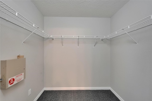 11626 Pure Pebble Dr, Riverview, FL 33569 - walk in closet featuring carpet