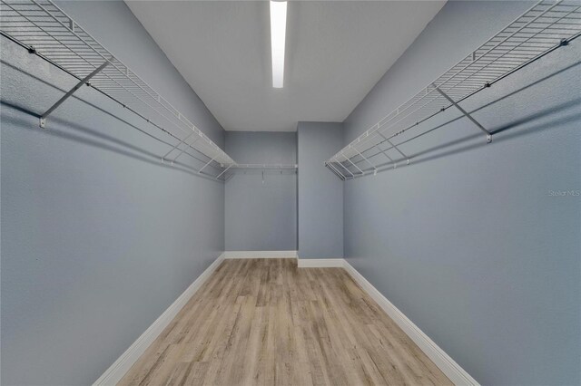 walk in closet featuring wood finished floors
