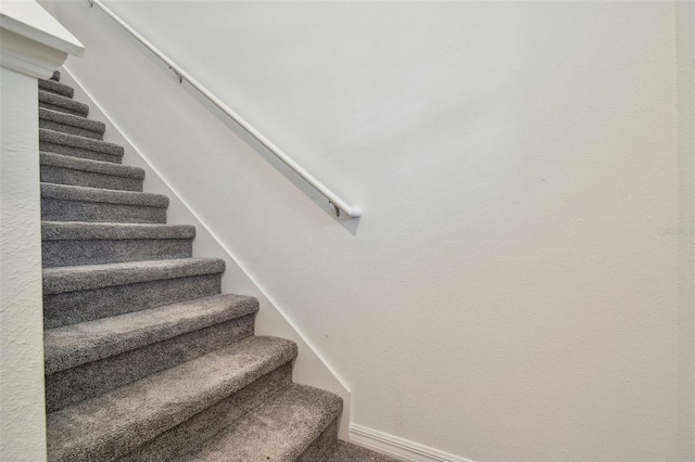 8953 Gallantree Pl, Land O Lakes, FL 34637 - staircase with carpet flooring