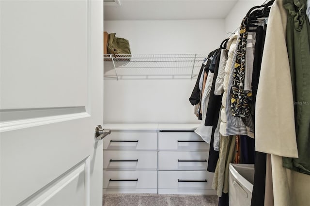 8953 Gallantree Pl, Land O Lakes, FL 34637 - spacious closet featuring carpet floors
