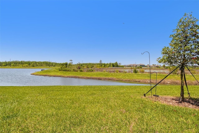 8953 Gallantree Pl, Land O Lakes, FL 34637 - water view