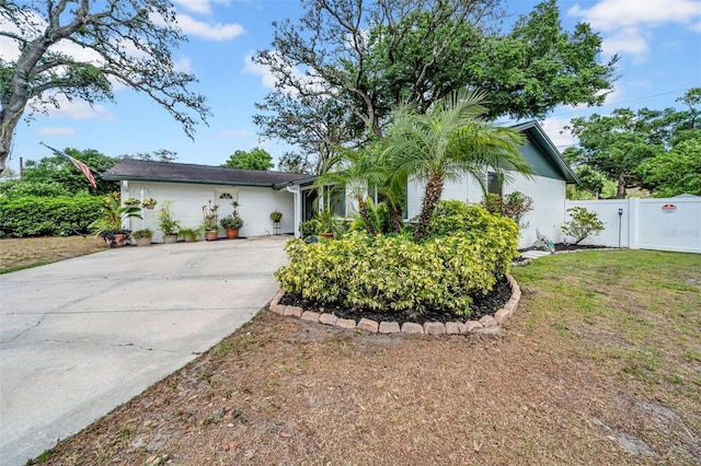 8115 N Ola Ave, Tampa, FL 33604 - view of front facade featuring a front yard, driveway, fence, and a gate