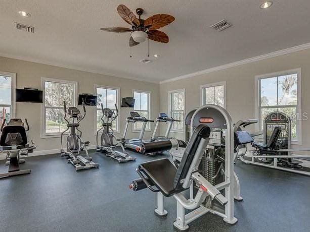 exercise room with a ceiling fan, visible vents, ornamental molding, and a wealth of natural light