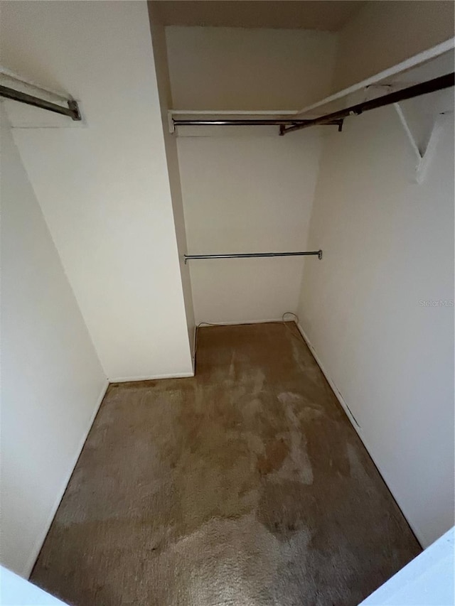 4715 Bay St NE Unit 235, Saint Petersburg, FL 33703 - walk in closet featuring carpet flooring