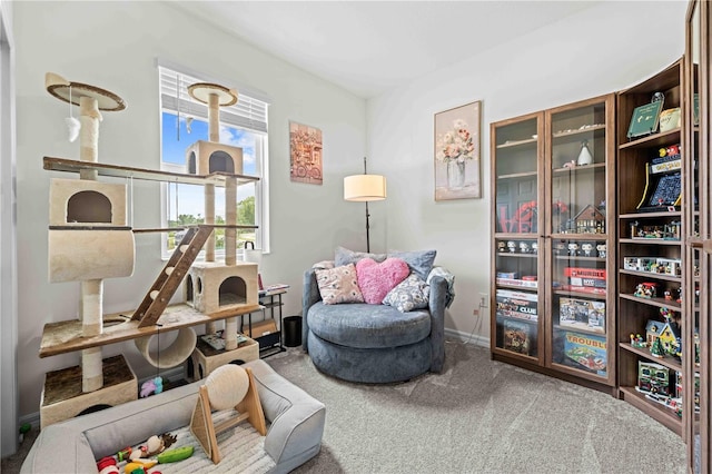 living area featuring carpet flooring