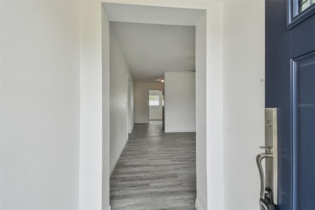 2401 Havana Dr, Clearwater, FL 33764 - hallway with wood finished floors and baseboards