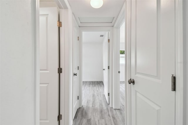 2401 Havana Dr, Clearwater, FL 33764 - corridor with light wood-style flooring and visible vents