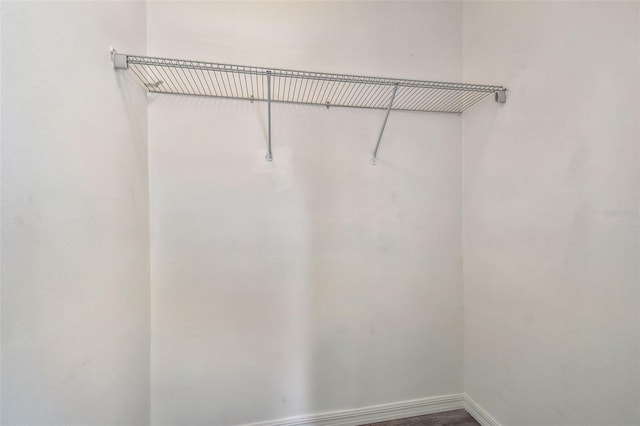 2401 Havana Dr, Clearwater, FL 33764 - view of walk in closet