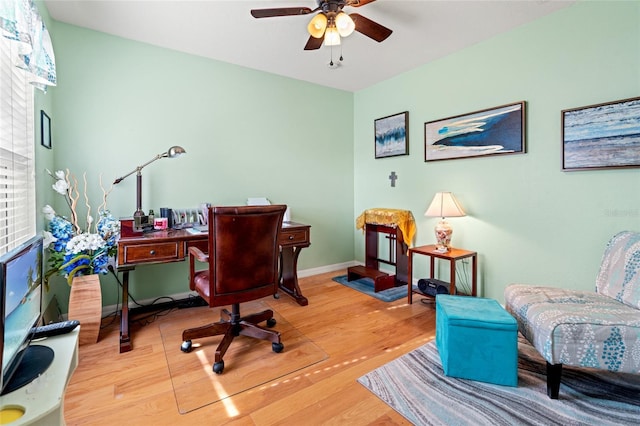 3434 Tarbolton Way, Land O Lakes, FL 34638 - office space with wood finished floors and ceiling fan