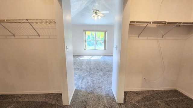 spacious closet with a ceiling fan and carpet flooring