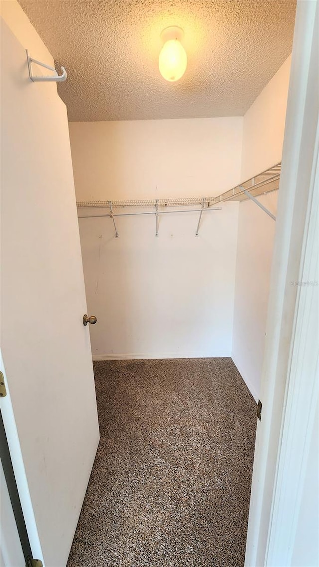 spacious closet featuring carpet