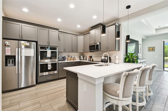 19325 Hawk Valley Dr, Tampa, FL 33647 - kitchen featuring gray cabinetry, a peninsula, appliances with stainless steel finishes, and a sink