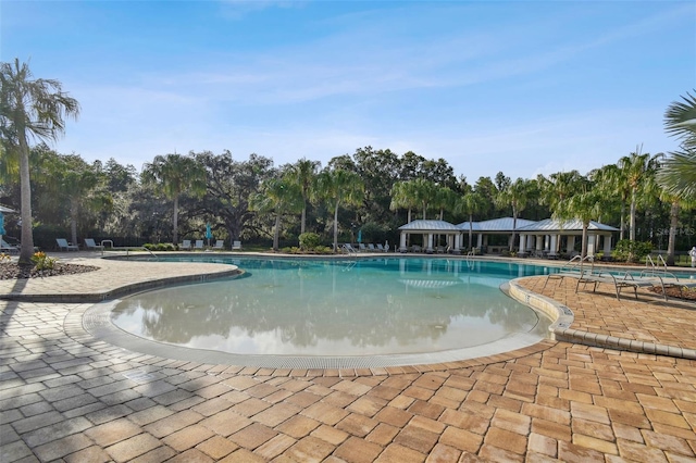 19325 Hawk Valley Dr, Tampa, FL 33647 - pool featuring a patio area
