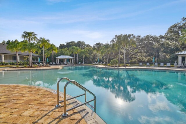19325 Hawk Valley Dr, Tampa, FL 33647 - community pool featuring a gazebo