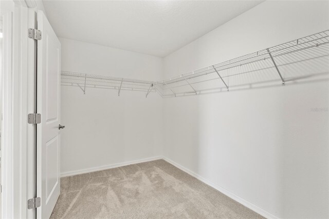 8598 Parsons Hill Blvd, Wesley Chapel, FL 33545 - photo 8