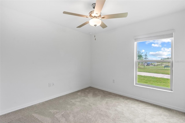 8598 Parsons Hill Blvd, Wesley Chapel, FL 33545 - photo 14