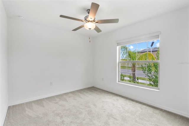 8598 Parsons Hill Blvd, Wesley Chapel, FL 33545 - photo 17