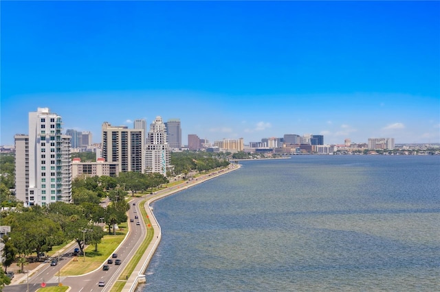 2912 W Santiago St Unit 1401, Tampa, FL 33629 - view of water feature featuring a city view