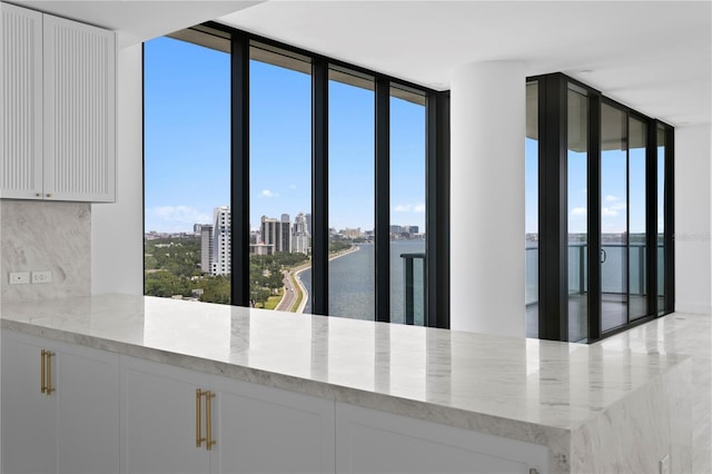 2912 W Santiago St Unit 1401, Tampa, FL 33629 - kitchen featuring white cabinets, light stone counters, decorative backsplash, a water view, and expansive windows
