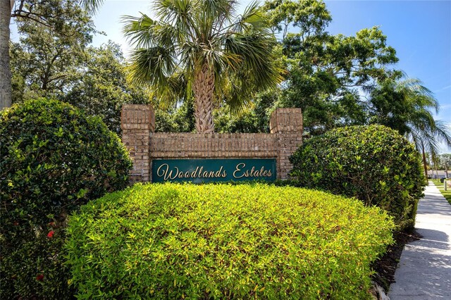 129 Lakeview Way, Oldsmar, FL 34677 - photo 54