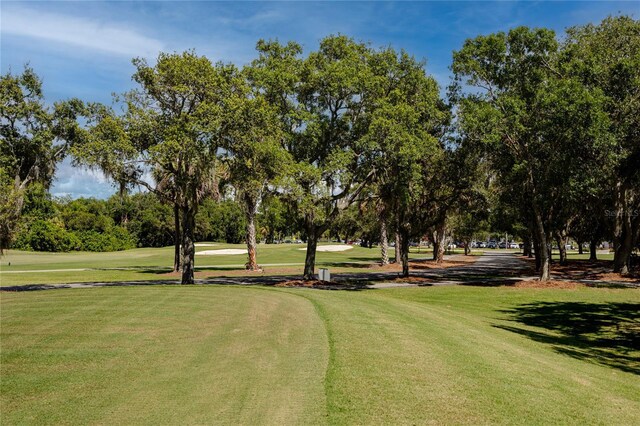 129 Lakeview Way, Oldsmar, FL 34677 - photo 59