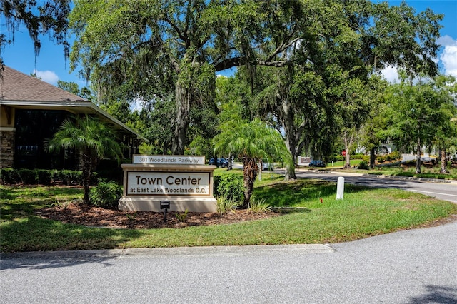 129 Lakeview Way, Oldsmar, FL 34677 - photo 60