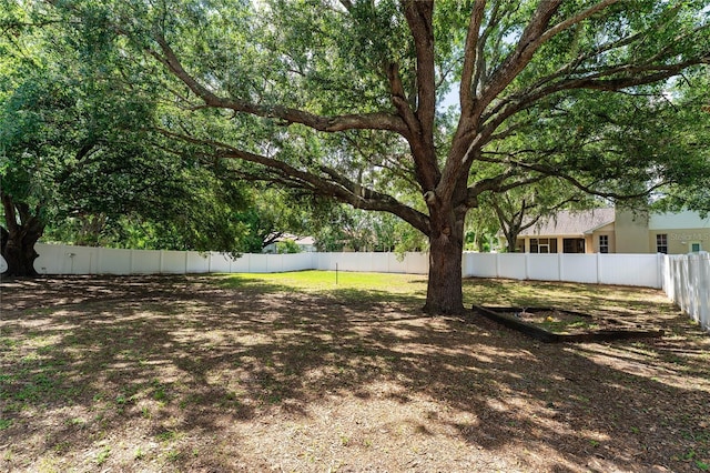 2803 Bent Leaf Dr, Valrico, FL 33594 - view of yard