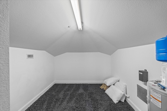1058 Roundstone Pl, Palm Harbor, FL 34683 - additional living space with carpet, vaulted ceiling, and a textured ceiling