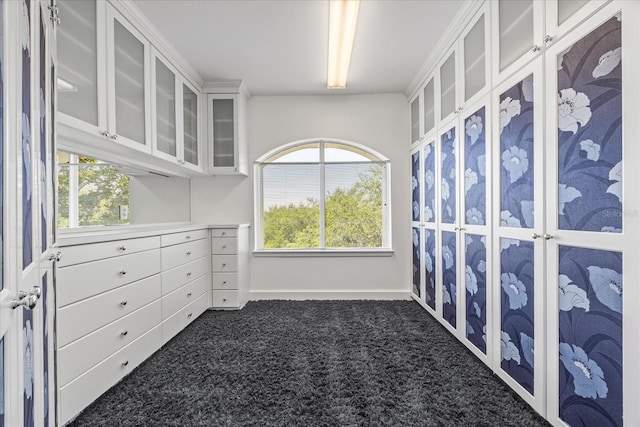1058 Roundstone Pl, Palm Harbor, FL 34683 - walk in closet featuring dark colored carpet