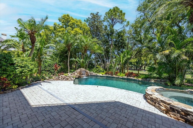 1058 Roundstone Pl, Palm Harbor, FL 34683 - swimming pool featuring a patio area and an in-ground hot tub